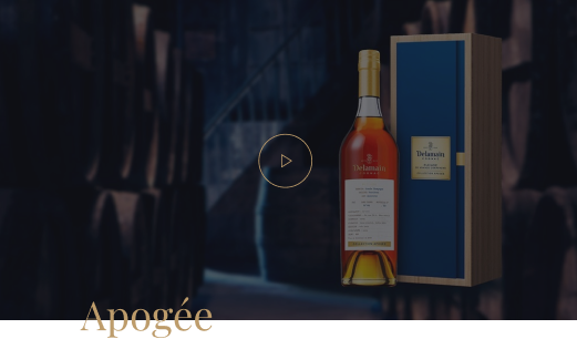 projects passionates