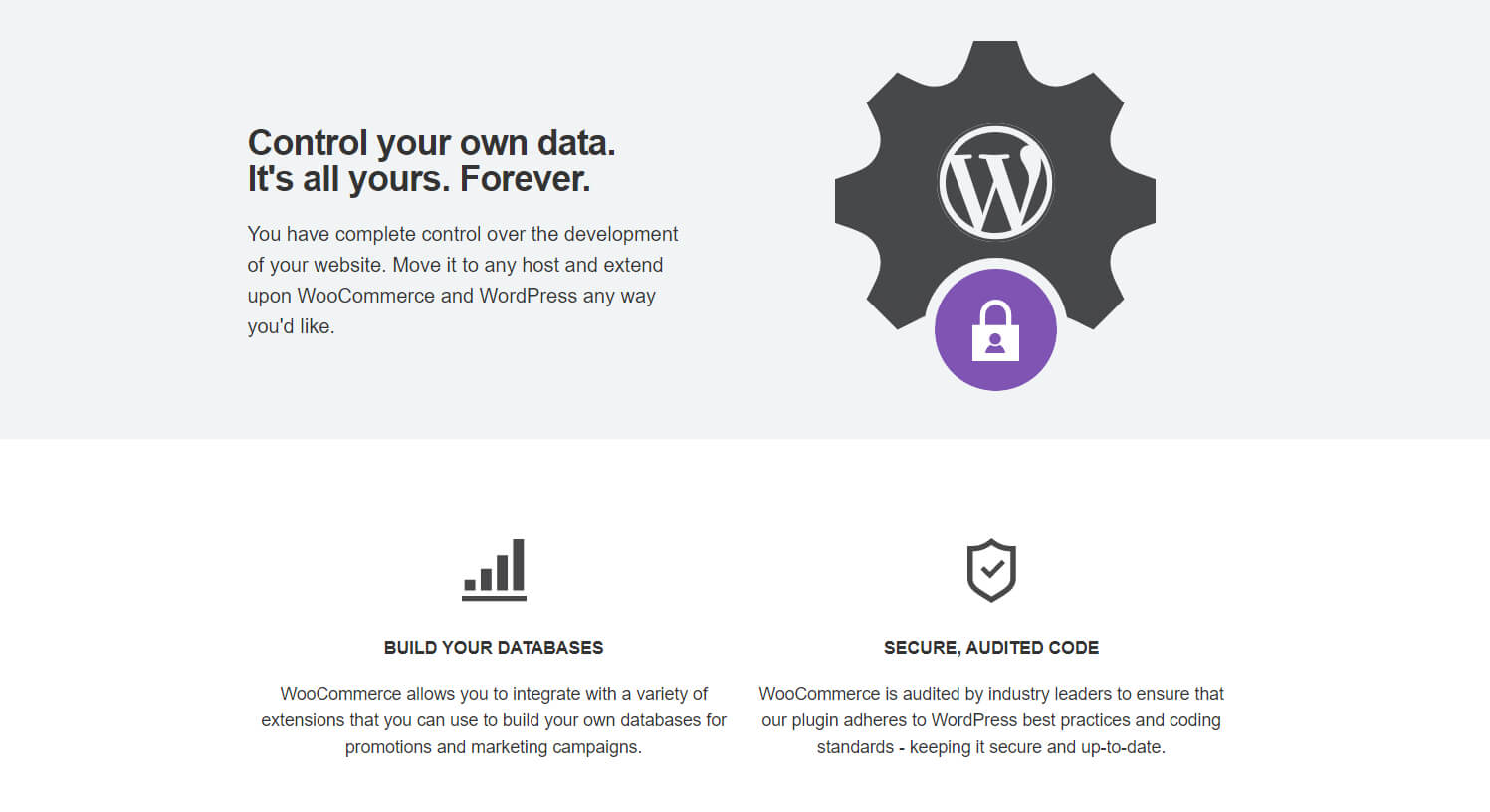 WooCommerce WordPress cybersecurity