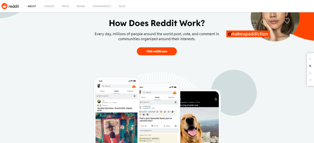 Reddit Website
